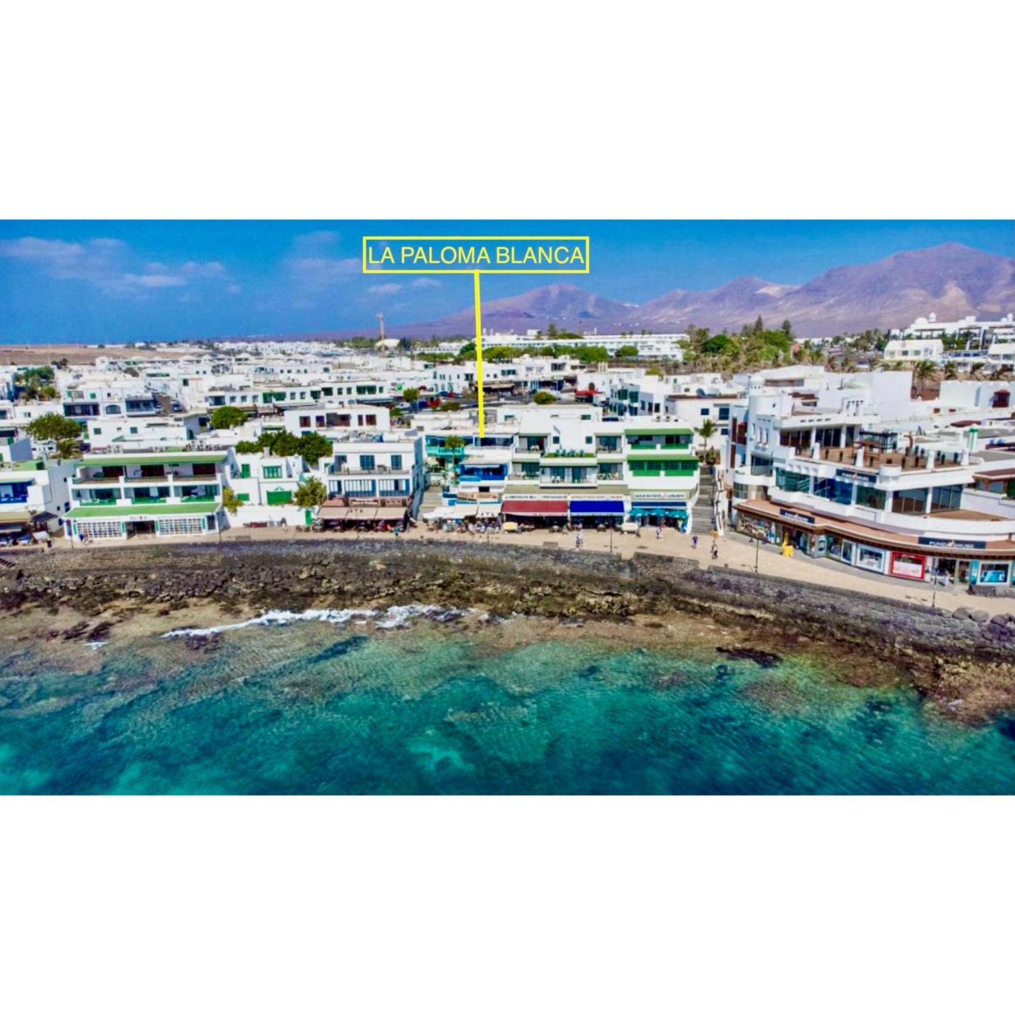 Apartament La Paloma Blanca The White Dove Playa Blanca (Lanzarote)